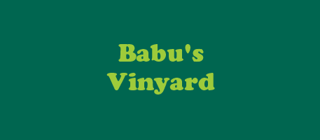 Babu's Vinyard